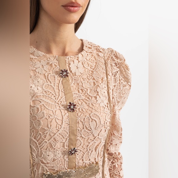 NWT Sierra Darien Elegant Lace Long Sleeve Dress in Cream M - Picture 5 of 8